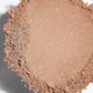 Colorescience Total Protection Brush-on Shield SPF 50
