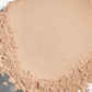 Colorescience Total Protection Brush-on Shield SPF 50